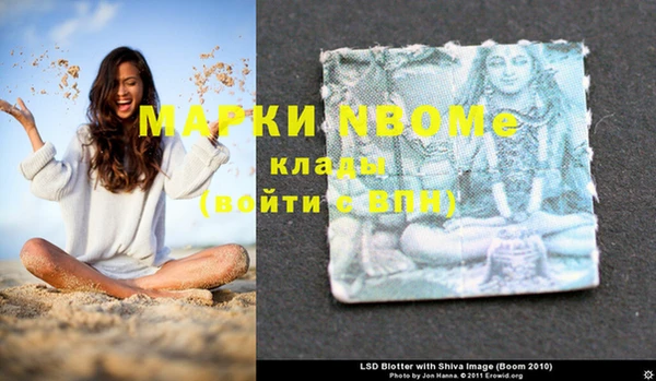 гидропоника Алзамай