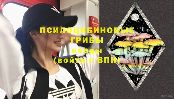 гидропоника Алзамай