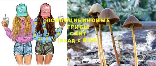 таблы Алексеевка
