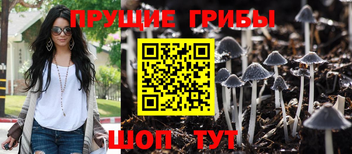 Псилоцибиновые грибы Cubensis Кореновск