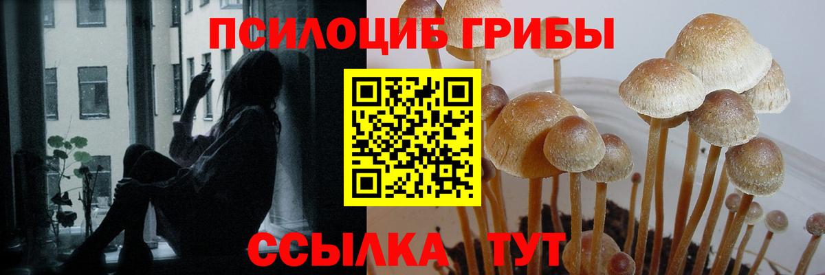 Кореновск  Псилоцибиновые грибы мухоморы  Вход с VPN 